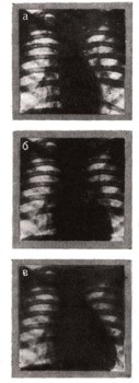 Enciclopedia omului