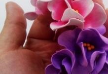 Violet származó foamirana műhely és videó, hogyan lehet egy mintát, frottír és levelek fotó