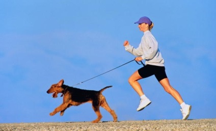 Sarcini fizice și mentale pentru câine