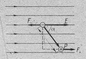 Principiile fizice ale electrografiei