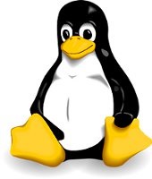 Formatați drive-ul USB în terminal în linux