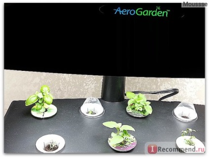 Sistem hidroponic aerogarden clasic 7-pod - 