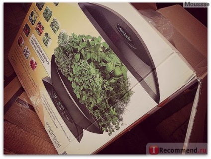 Sistem hidroponic aerogarden clasic 7-pod - 