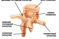 Hiperpozitia coloanei vertebrale toracice