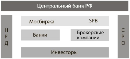 Capitolul 2 Cum este organizată piața financiară - piața de valori din SUA pentru investitorii novici