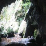 Munte și câine de peșteră, loc de rezistență (cu