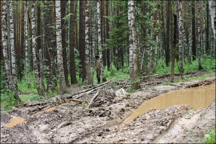 Inzerskie zubchatki, off-road