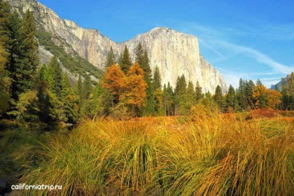 Yosemite National Park - cum să ajungeți acolo și ce să vedeți