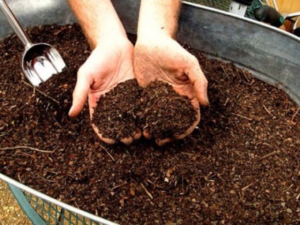 Care deșeuri alimentare pot fi folosite pentru fertilizarea grădinii