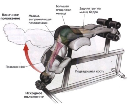 Cum să pompezi musculatura dorsală în casă - cum să pompezi muschii din spate acasă