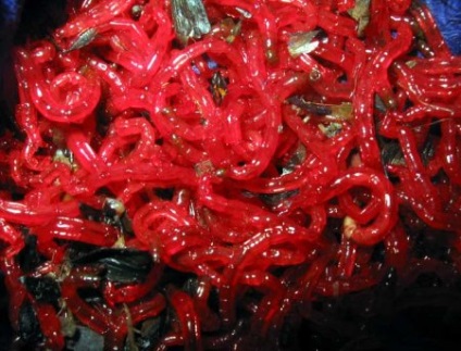 Cum să spălați viermii de sânge