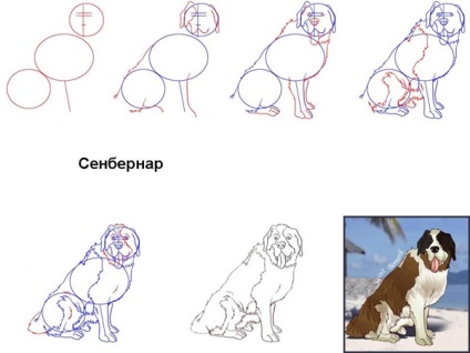 Як намалювати собаку, символ нового 2018 року, легко і красиво для дітей - новорічна собака