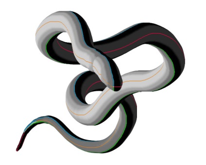 Cum de a desena un șarpe în Photoshop