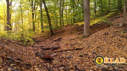 Cum să alegeți locul potrivit pentru căutări într-o pădure de pădure, vânătoare de comori de la a la i