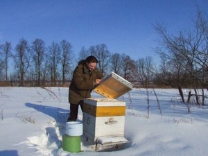 Cum să faci kandi pentru albine cu propriile mâini pentru rețete de top-dressing și metode de gătit,