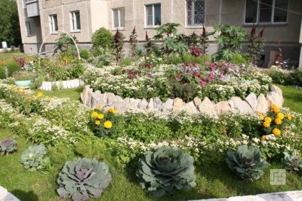 Cum să organizați independent o frontieră pentru o grădină de grădină cu grădină