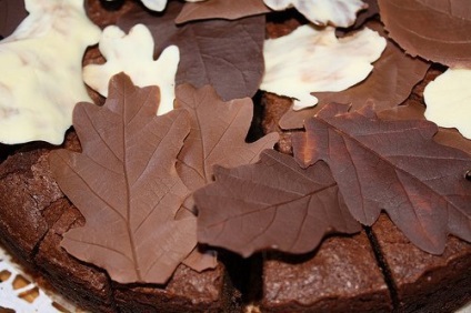 Cum să faci frunze de tort de ciocolată