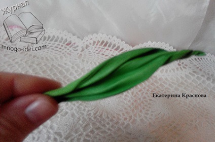 Hogyan készítsünk egy tulipán származó foamirana mesterkurzust