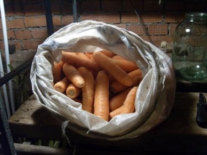 Cum de a stoca morcovi acasă pentru iarnă - păstrați-l drept