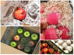 Cum de a stoca mere pe secretele balconului și caracteristicile de stocare