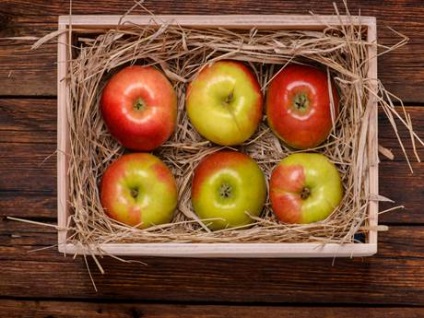 Cum se păstrează merele pe iarbă pe balcon, la ce temperatură se depozitează merele
