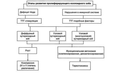 Guiderul coloidal al glandei tiroide ce este, tratamentul (remedii folclorice, chirurgie), nutriție și