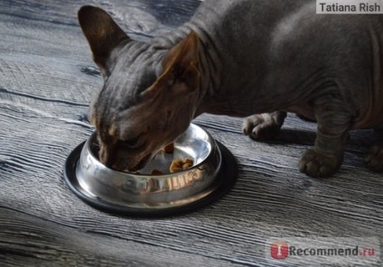 Hrana pentru pisici hill `s baza de prescriptie medicala dieta metabolice urinar -
