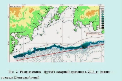 Creveți de Primorye 