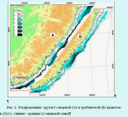 Creveți de Primorye 