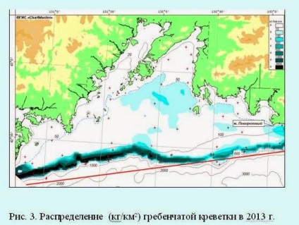 Creveți de Primorye 