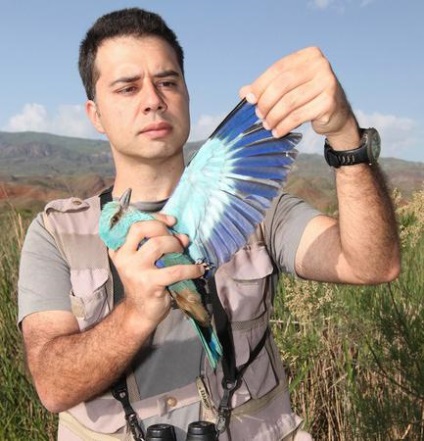 Cine este ornitolog? Care este domeniul său de activitate? Ce face ornitologia?