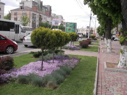 Ландшафтний дизайн в вінниці і києві