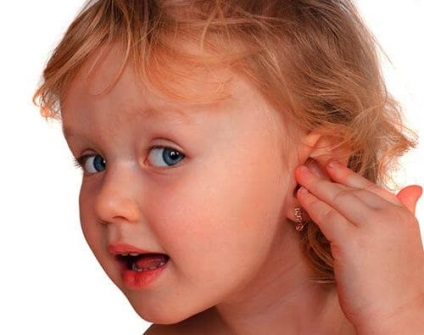 Tratamentul pe bază de plante pentru bolile urechii