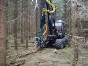 Forest Technology Feller, chopper de autopropulsie, combină de recoltat