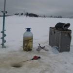 Catching ponty - vadászati ​​és halászati ​​Oroszországban és külföldön