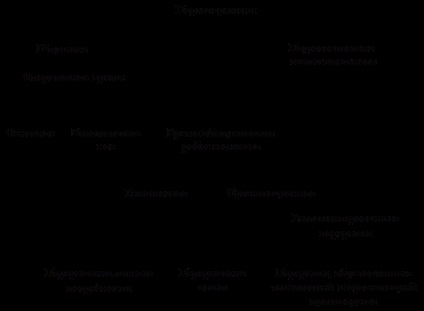 Метод за изчисляване на преките разходи за труд за производството на земеделски култури - Икономика