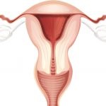 Метронидазол по време на менструация е възможно да се постави свещта, ако закъснението е реален, може да доведе до