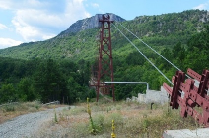 Tinctura de molii de ceară cu oncologie, blog pasekazdorovya, contact