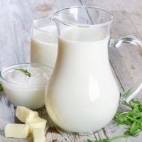 Intoleranța la proteinele din laptele de vacă - bisturiu - informație medicală-educativă