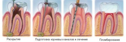 Știri, stomatologie