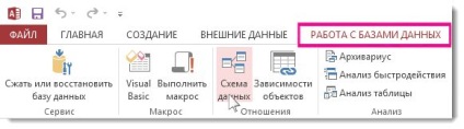 Informații generale despre schema de date