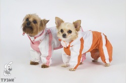 Îmbrăcăminte pentru câini pentru primăvara și toamna mărcii comerciale tuzik