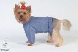 Kutya ruhák tavaszi és őszi márka gumicsónak