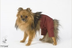 Kutya ruhák tavaszi és őszi márka gumicsónak