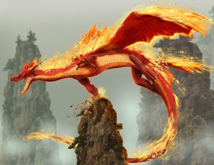 Fire Dragon - jellemző jele