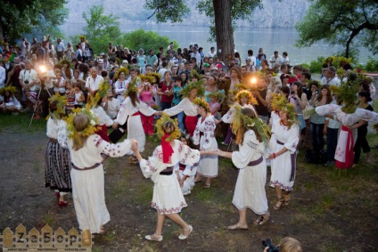 Ogonki - trandafiri siberieni