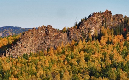 Ogonki - trandafiri siberieni