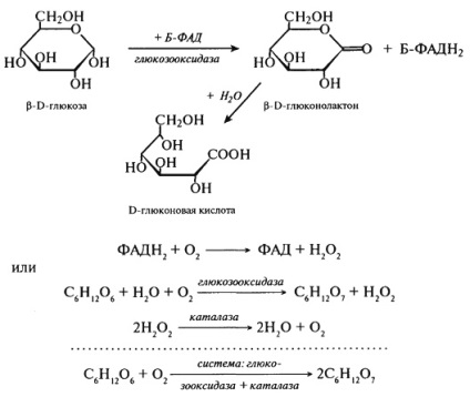 Oxidarea în acizii aldonic, dicarboxilic și uronic