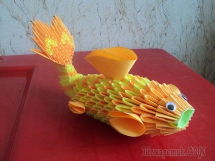 Origami pescuiesc copiii cu o schemă cu fotografii și videoclipuri