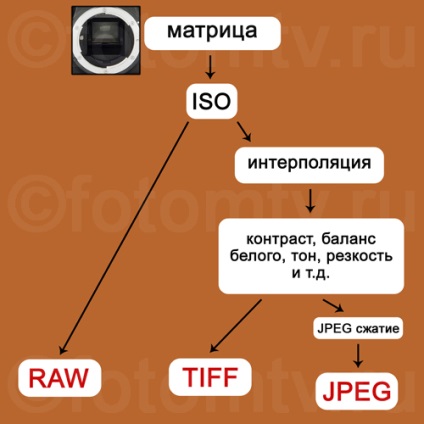 Funcțiile jpg, formatele brute și tiff, diferențele jpeg de la raw și tiff, concluzia că formatul este mai bun